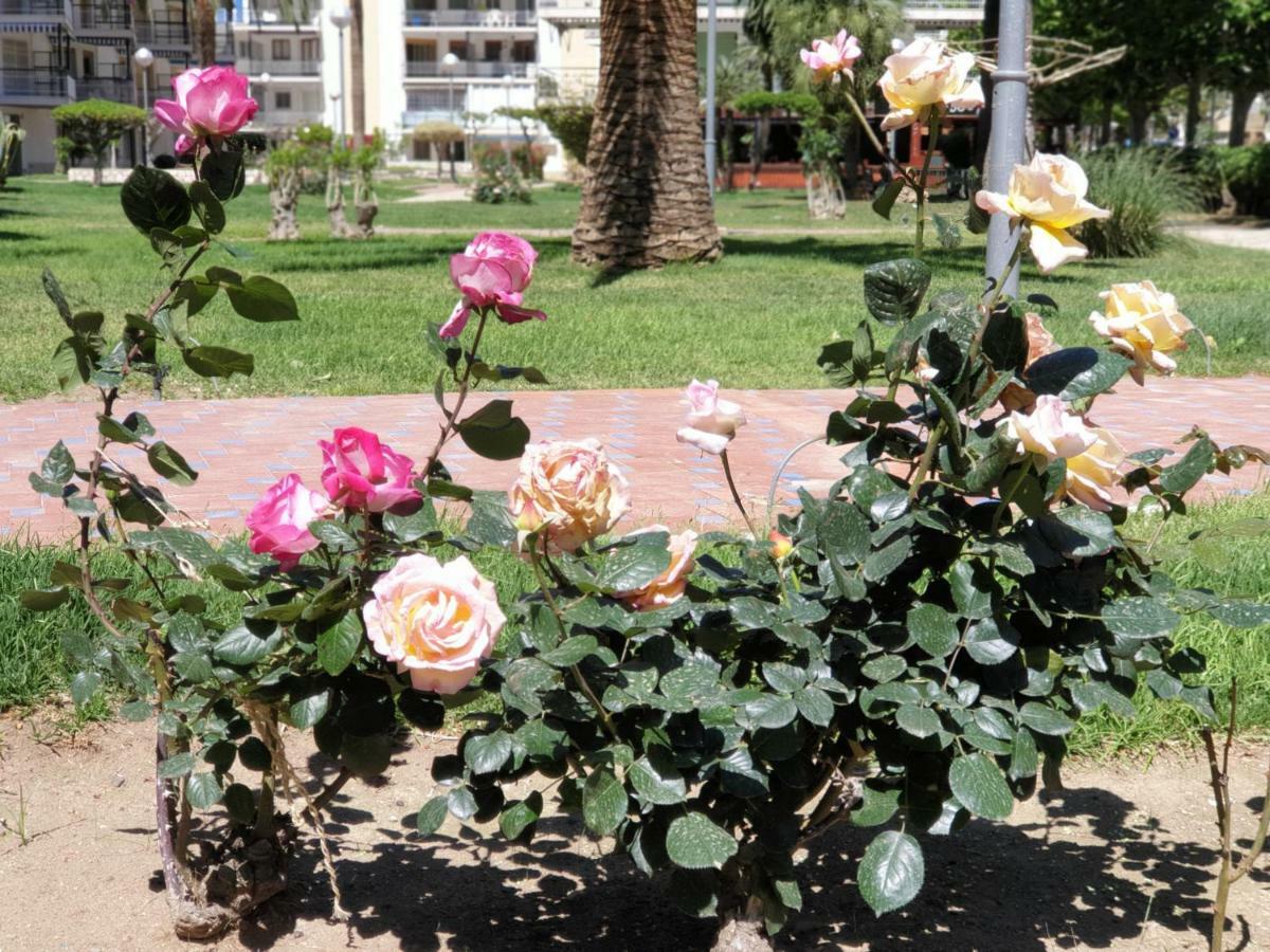 Appartement Apartamento Kristina à Salou Extérieur photo